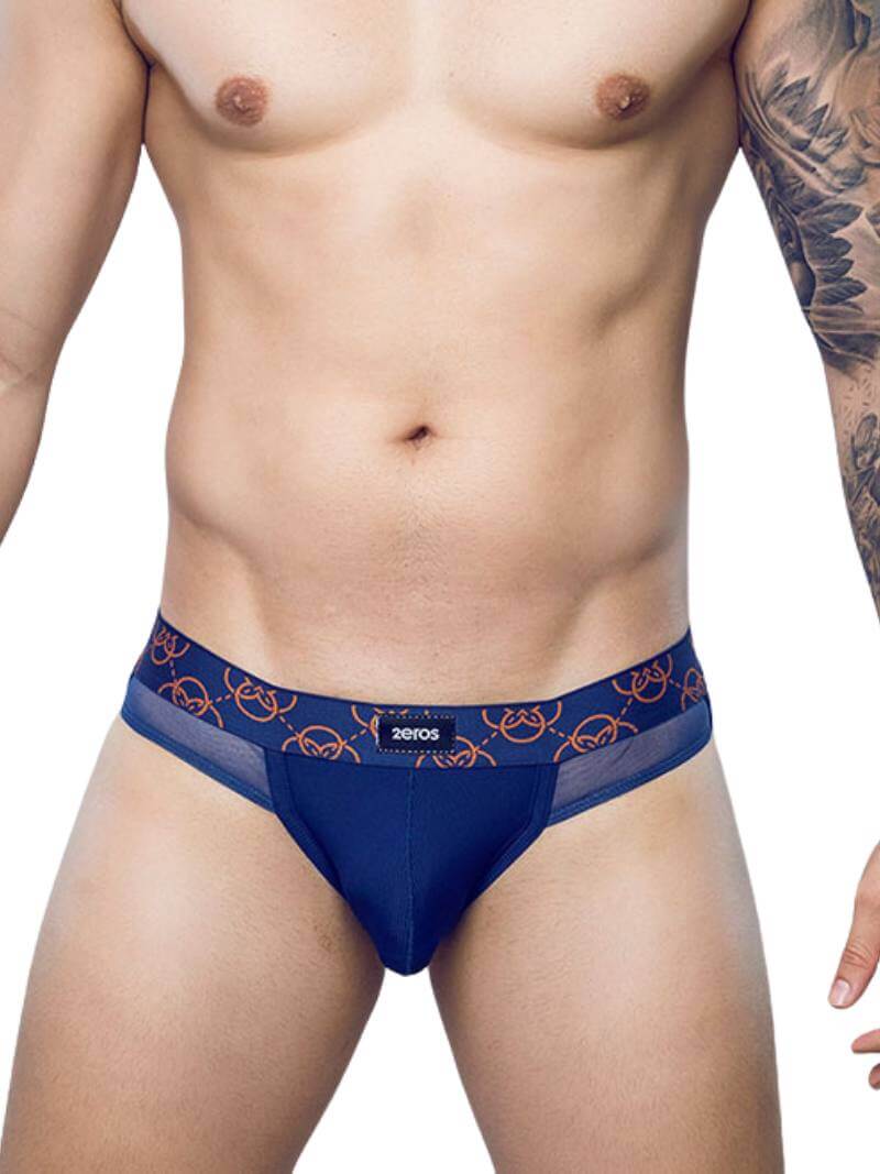 2eros Himeros Brief: Breathable Mesh + CURV Pouch