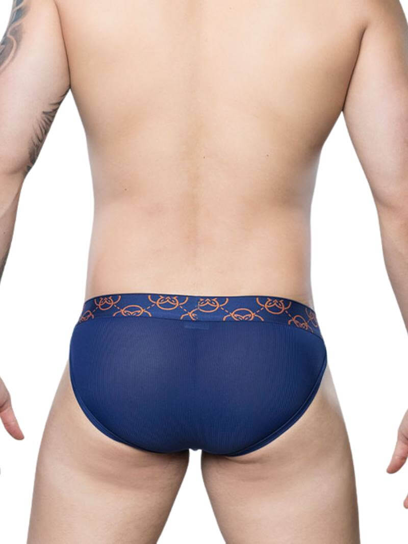 2eros Himeros Brief: Breathable Mesh + CURV Pouch