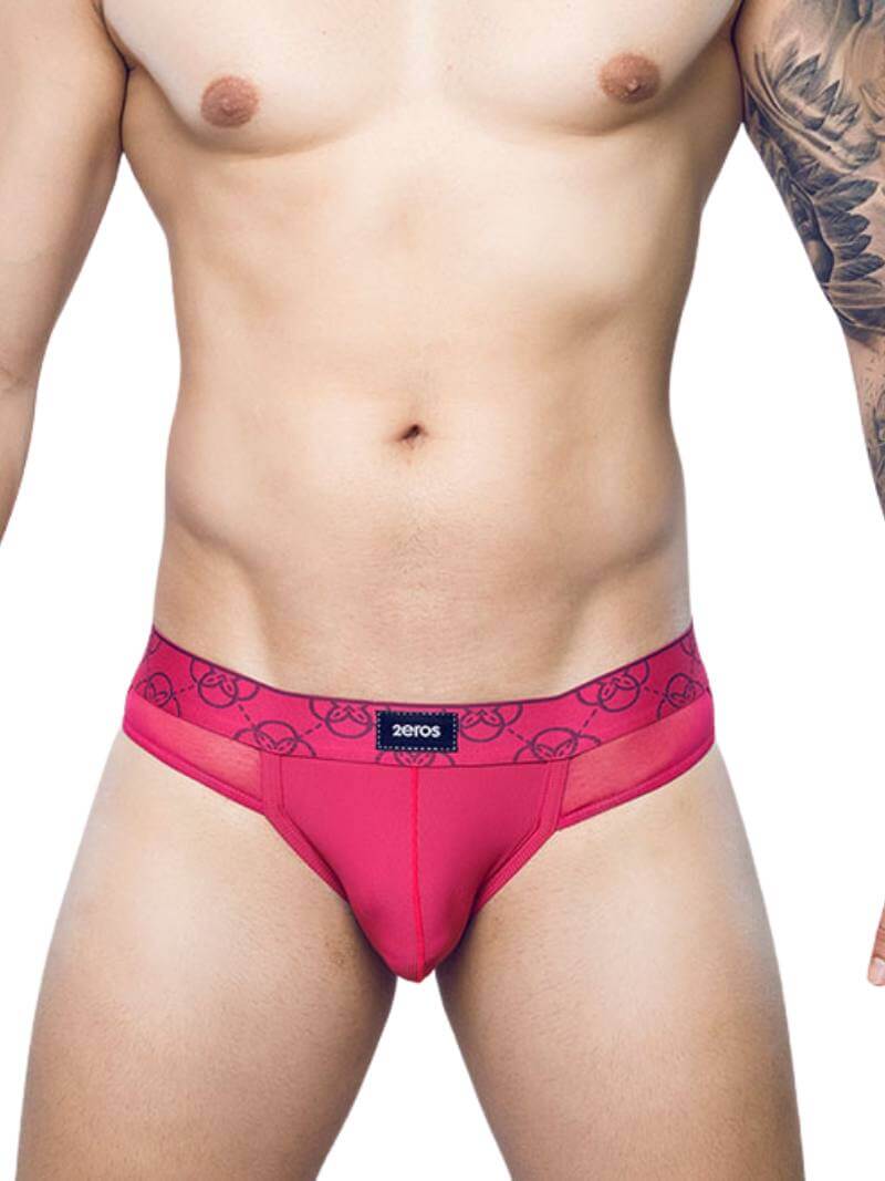 2eros Himeros Brief: Breathable Mesh + CURV Pouch