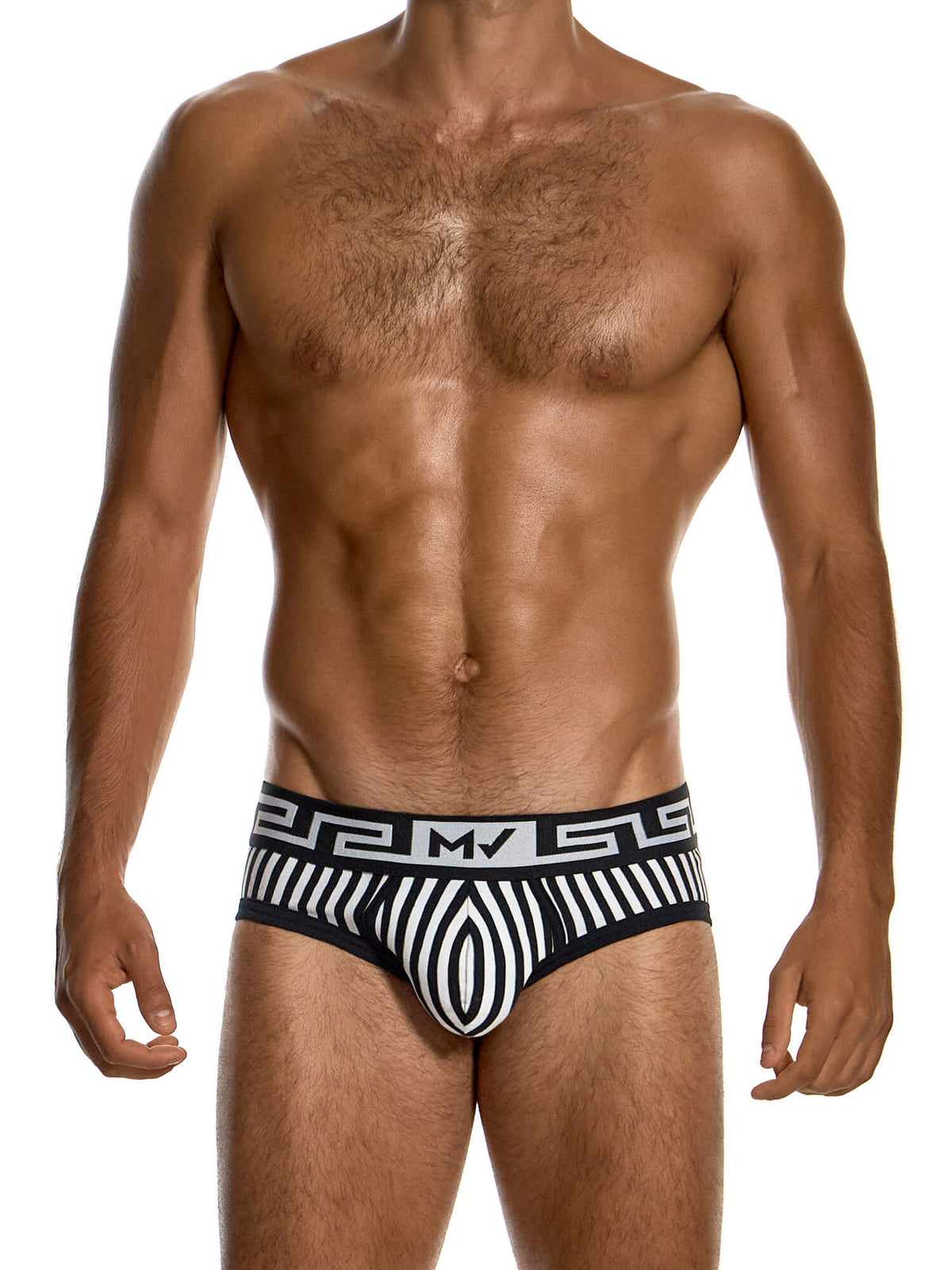Modus Vivendi Meander Stripes Classic Brief in black, product photograph