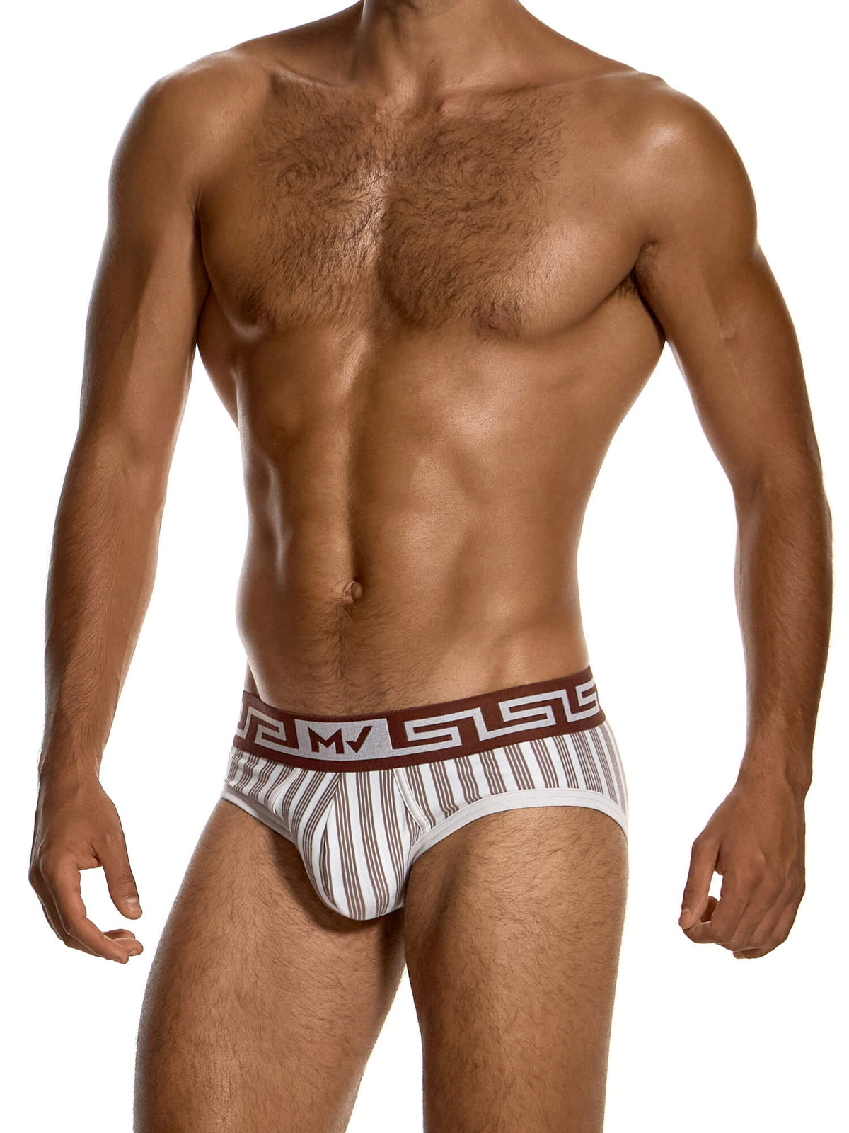 Modus Vivendi Meander Stripes Classic Brief in Taupe, product photograph