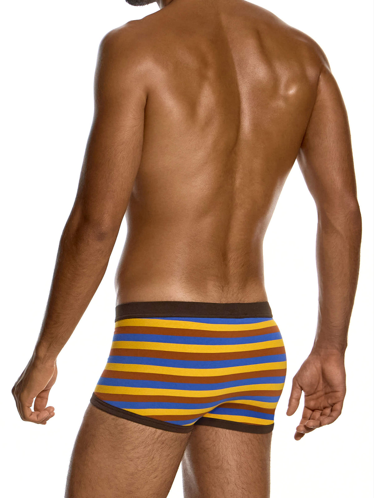 Modus Vivendi Minoan Stripes Boxer Trunk in multicolour, product photograph