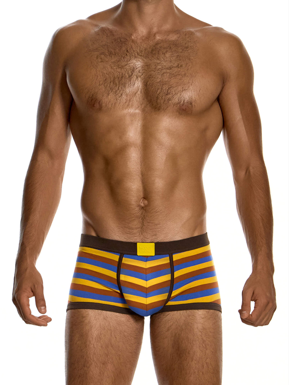 Modus Vivendi Minoan Stripes Boxer Trunk in multicolour, product photograph