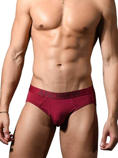 Andrew Christian Bespoke Modal Brief