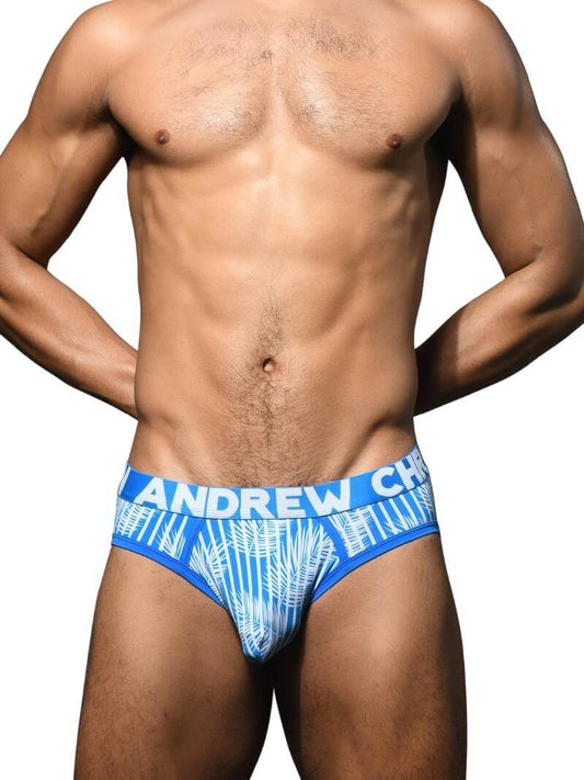 Andrew Christian Holiday Brief