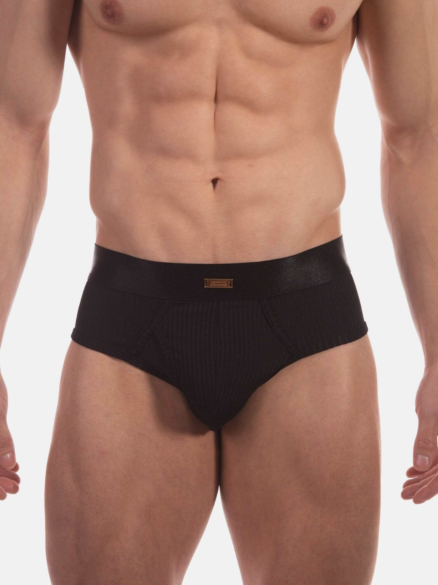 A close-up of a male model's lower torso wearing black ribbed briefs against a plain light gray studio background.