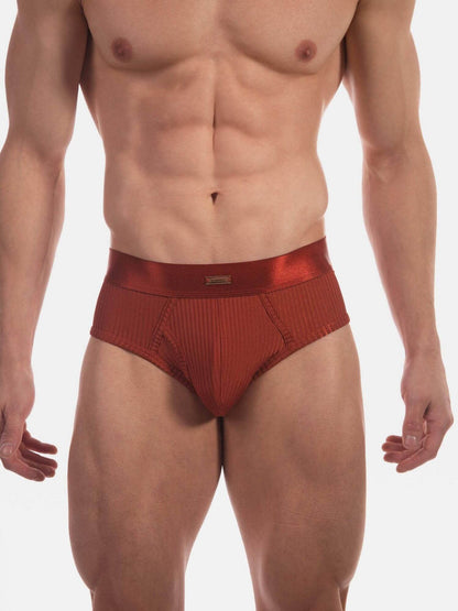 A close-up of a male model's lower torso wearing a pair of metallic copper-brown ribbed briefs against a plain white studio background.