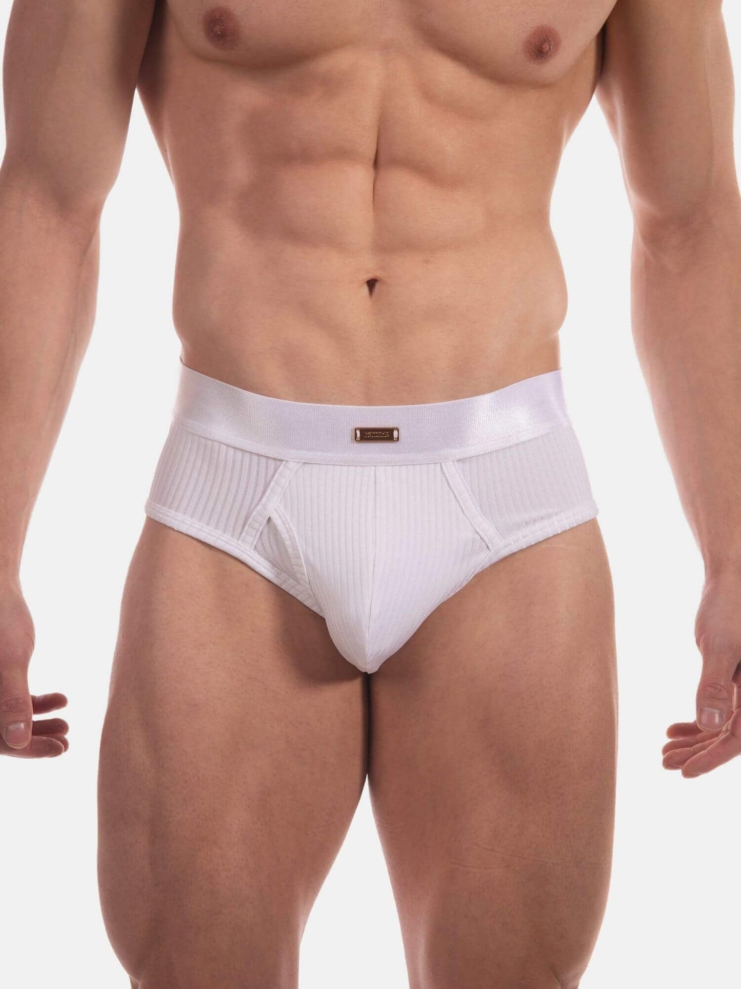 A close-up of a male model's lower torso wearing white ribbed briefs with a wide elastic waistband and a small gold rectangular logo plaque at the center front, against a plain light gray studio background.