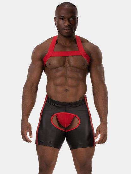 Man wearing a red and black harness and underwear set on a white background