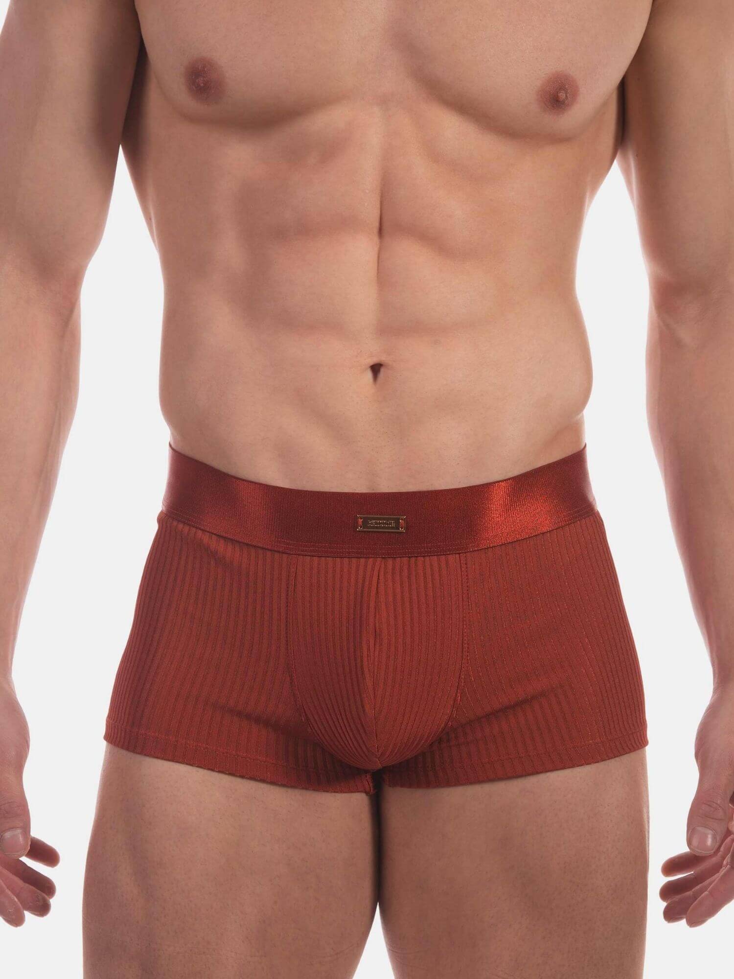 A close-up of a male model's lower torso wearing ribbed red-brown boxer briefs against a plain light gray studio background.