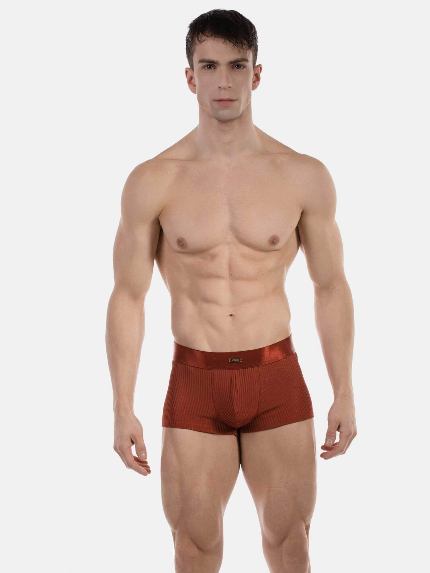 A muscular male model wearing a pair of rust-brown ribbed boxer briefs, standing against a solid light gray background.
