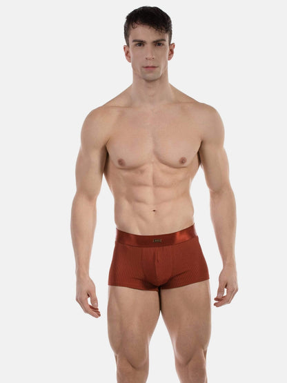 A muscular male model wearing a pair of rust-brown ribbed boxer briefs, standing against a solid light gray background.