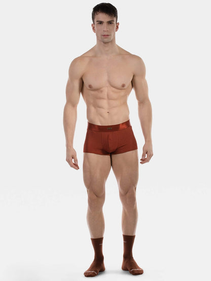 A muscular male model standing against a light gray studio background, wearing a pair of reddish-brown briefs and matching socks.