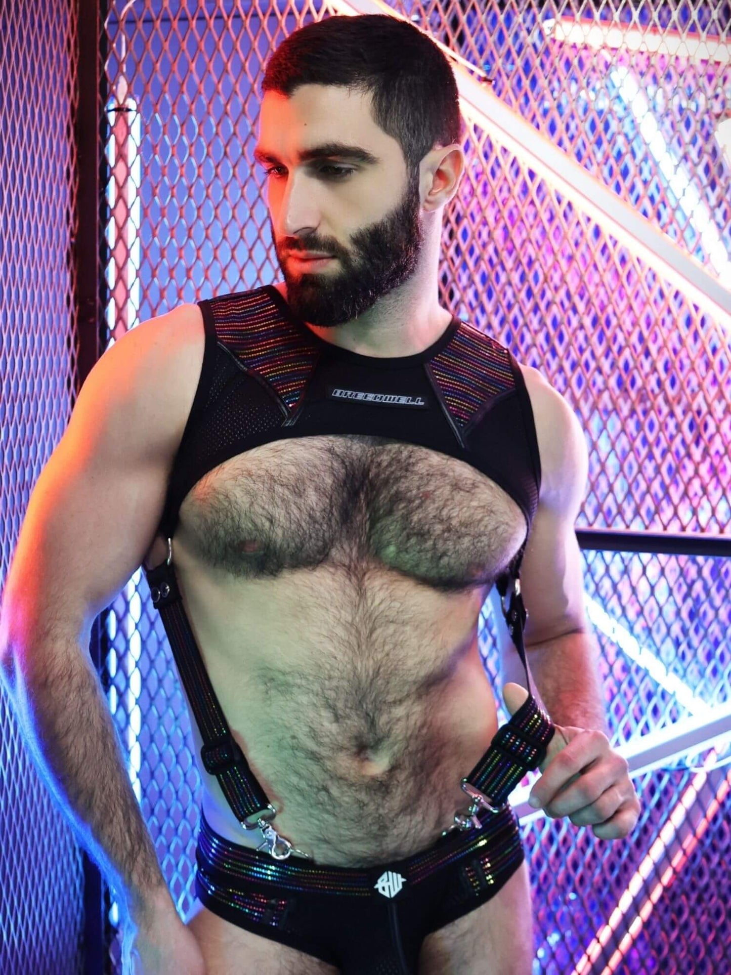 Breedwell Icon Pride Tank Harness