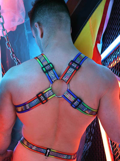 Breedwell Pure Pride Reflector Body Harness
