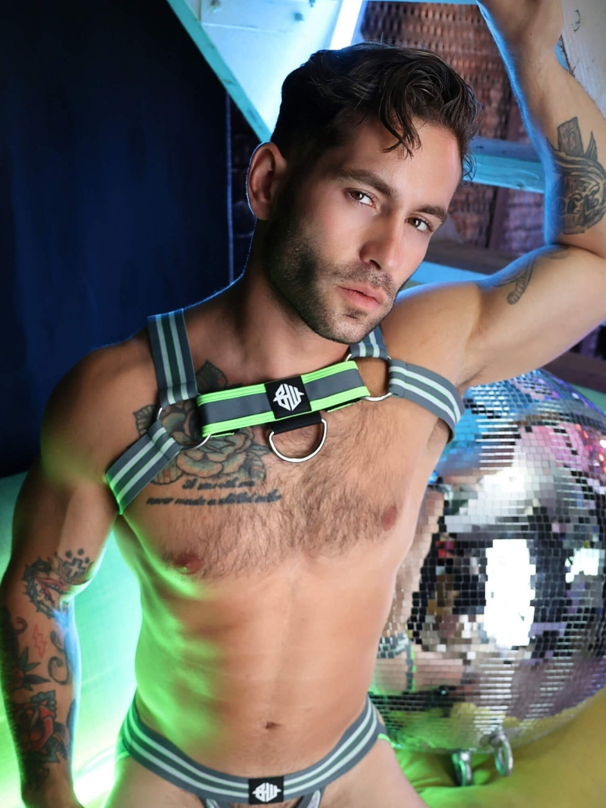 Breedwell Sweat & Sin Bulldog Chest Harness