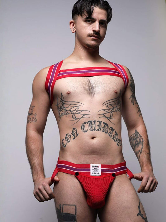 Man wearing a red and white striped harness and underwear set against a gray background