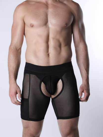 CellBlock13 Void Sheer Mesh Chaps Short