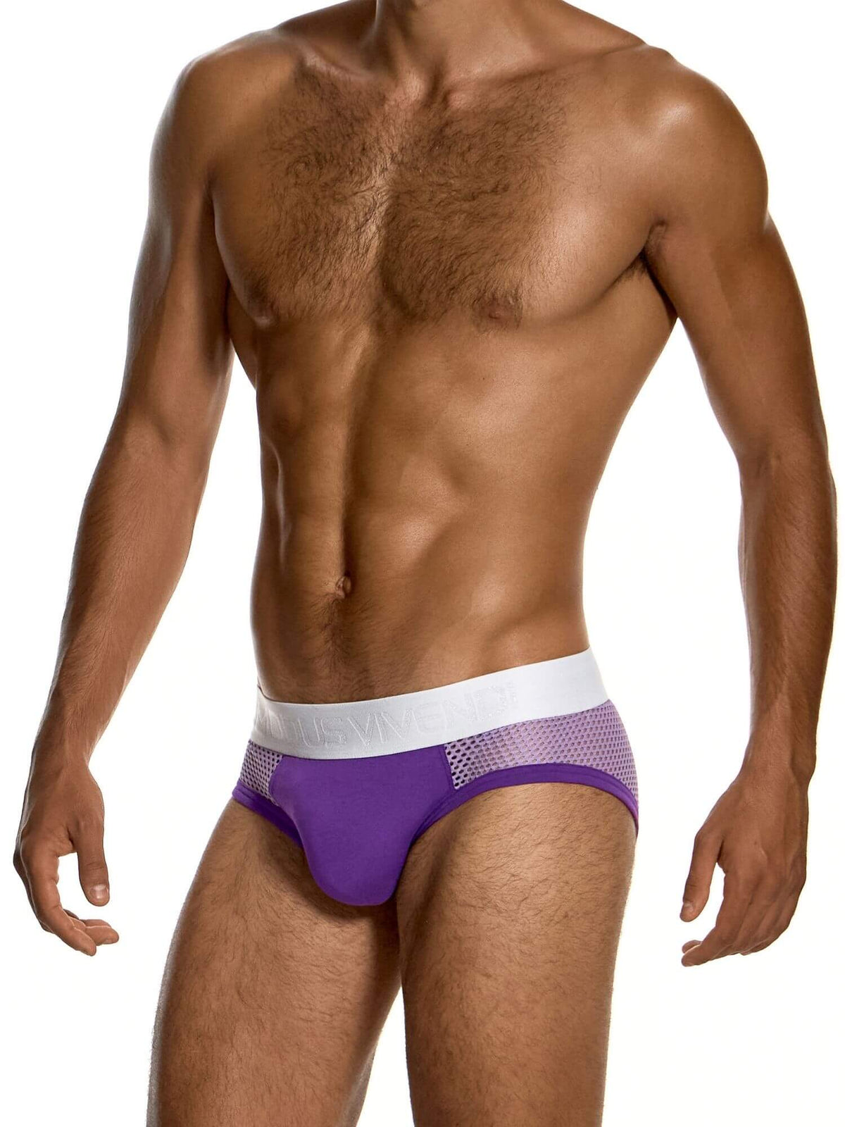 A muscular male model wearing a pair of purple and white briefs against a plain white background.