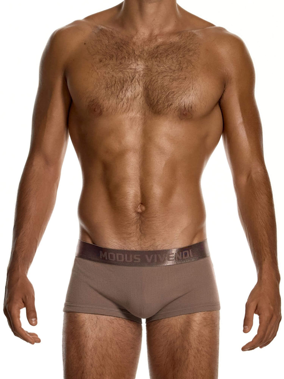 A shirtless male model wearing Modus Vivendi brown briefs against a plain white background.