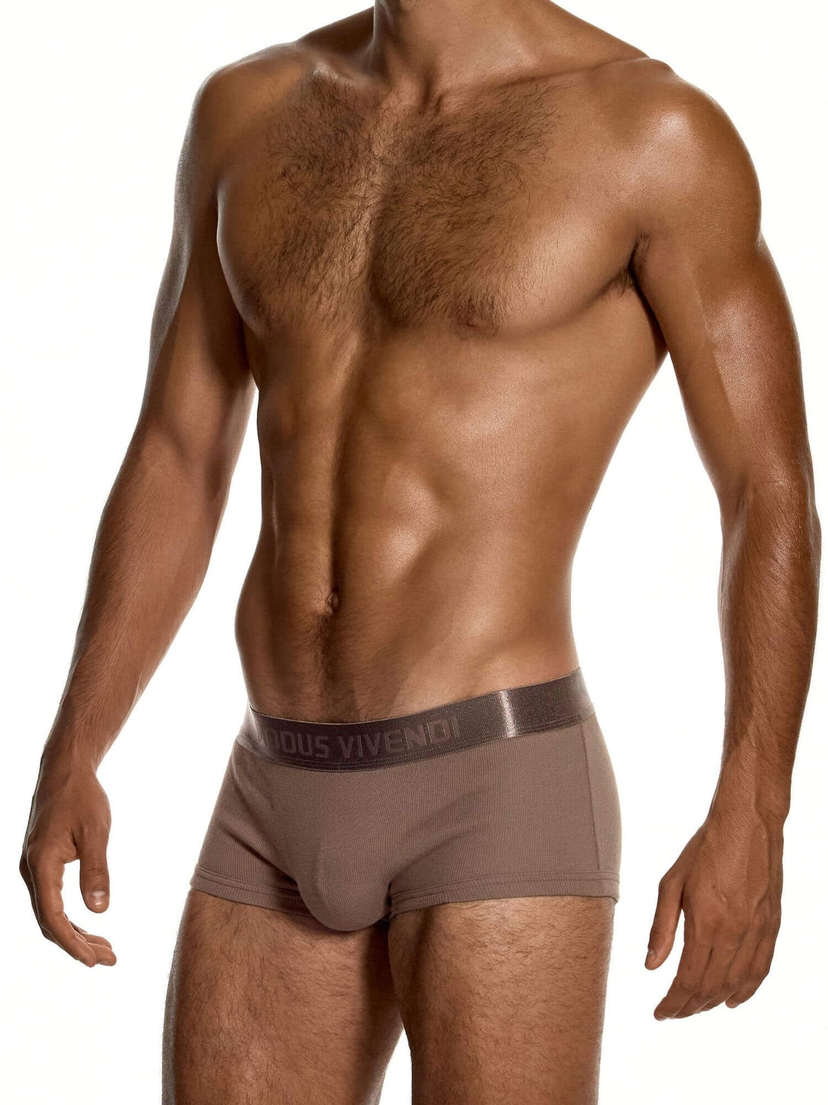A shirtless male model wearing taupe-brown boxer briefs with a dark waistband featuring the brand name 'Modus Vivendi'.