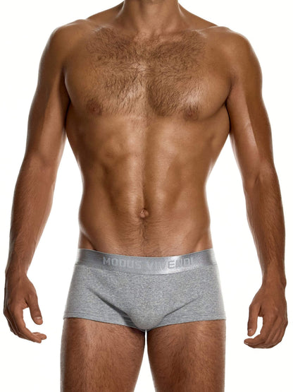 A shirtless male model wearing light gray heathered briefs with a gray waistband.