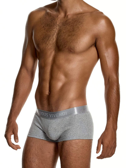 A shirtless male model wearing light gray Modus Vivendi men's briefs against a plain white background.