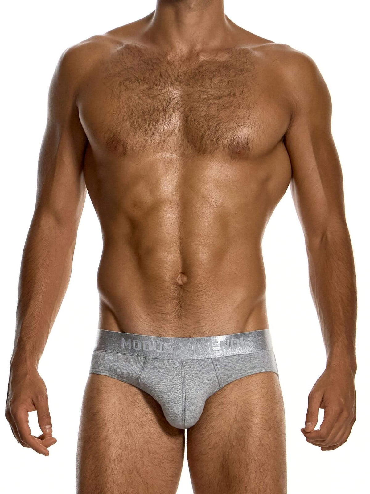 A shirtless male model wearing light gray heathered briefs with a wide waistband that reads 'MODUS VIVENDI'. The photo is cropped from the lower face to upper thighs on a plain white studio background.