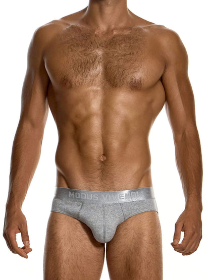 A shirtless male model wearing light gray heathered briefs with a wide waistband that reads 'MODUS VIVENDI'. The photo is cropped from the lower face to upper thighs on a plain white studio background.