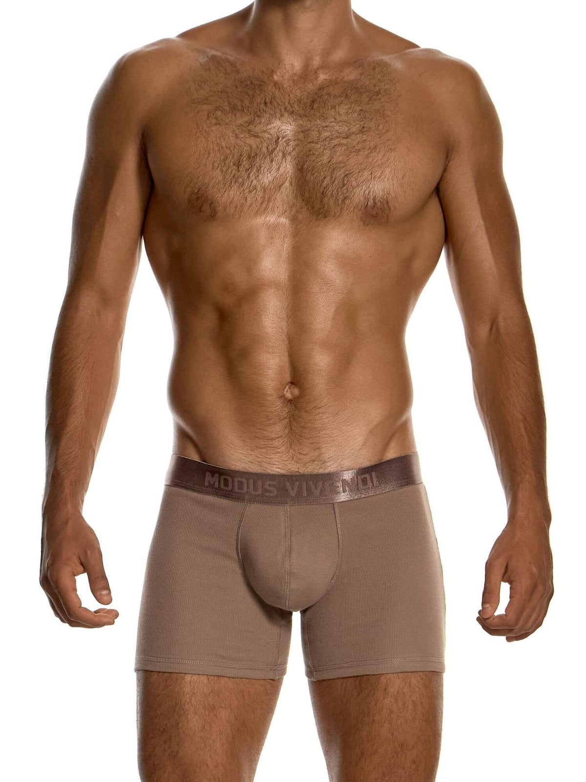 A male model wearing Modus Vivendi brown boxer briefs, shown from the chest down against a plain white background.