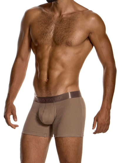 A muscular male model wearing plus-size brown boxer briefs with a contoured pouch front and a dark brown waistband featuring the brand name 