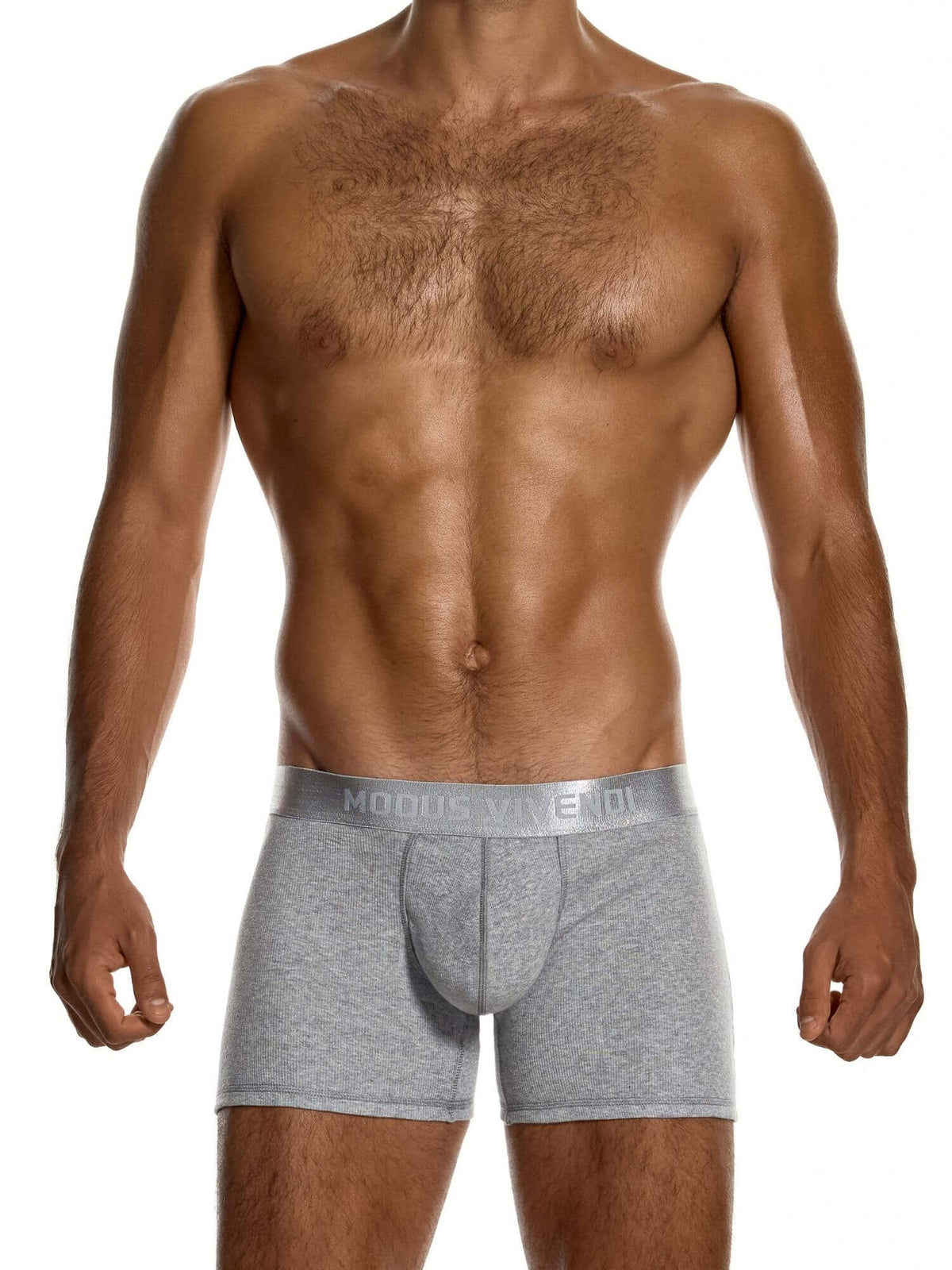 A shirtless male model wearing heather gray Modus Vivendi boxer briefs against a plain white studio background.