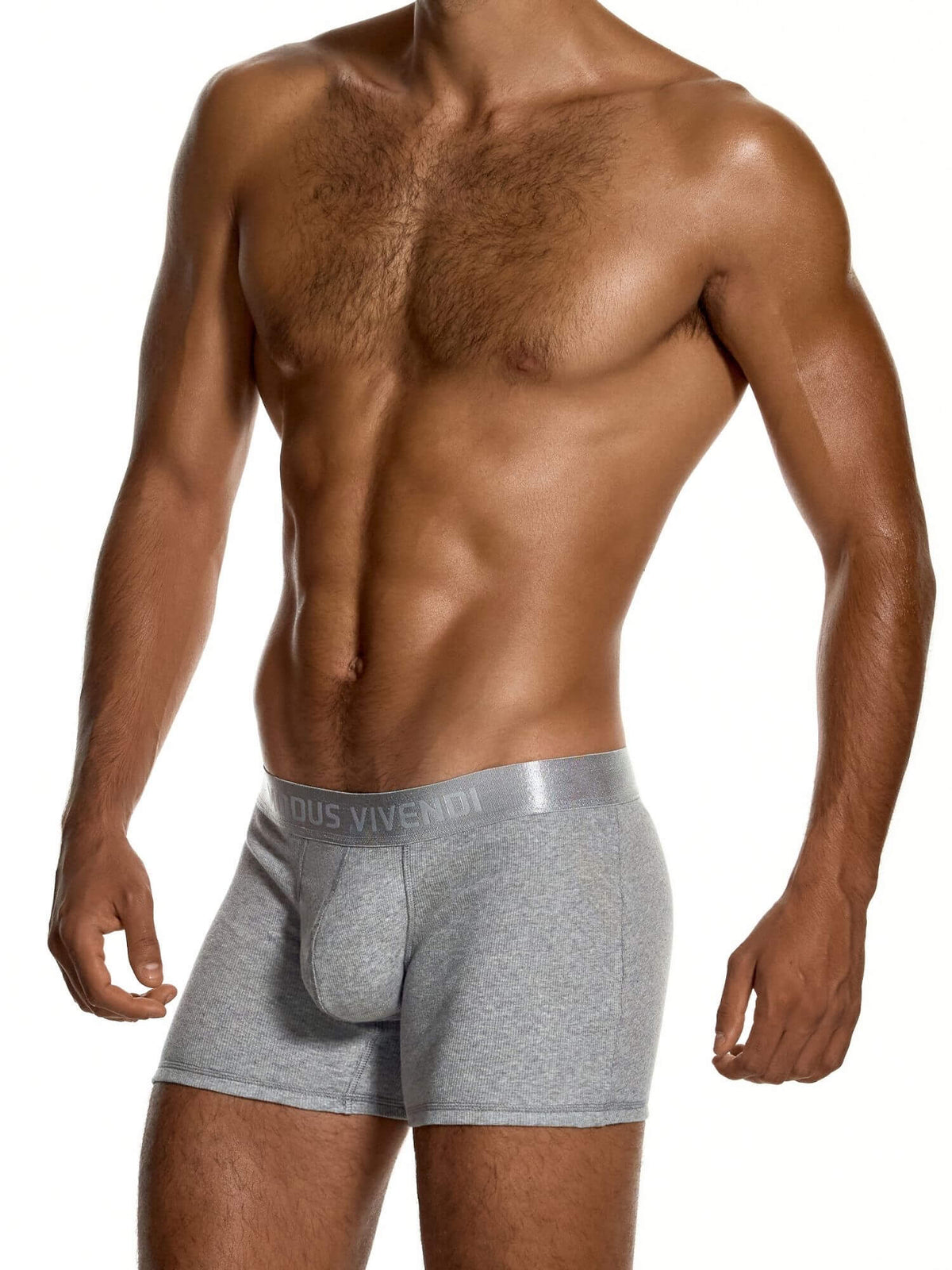 A shirtless male model wearing light gray heathered boxer briefs with a gray waistband featuring the brand name 