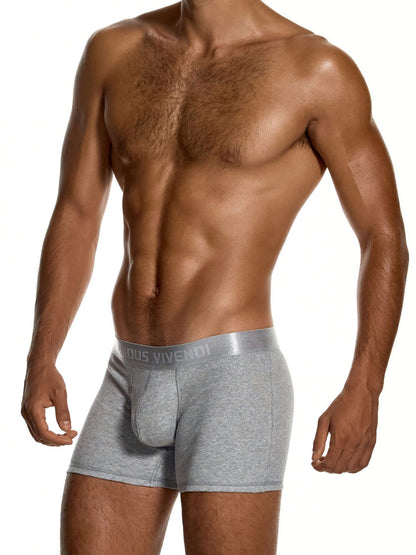 A shirtless male model wearing light gray heathered boxer briefs with a gray waistband featuring the brand name 