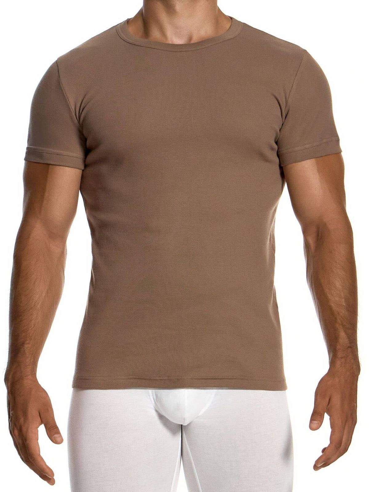 A man wearing a tight-fitting short-sleeve crewneck t-shirt in a solid taupe-brown color, paired with white briefs, shown against a plain white background.