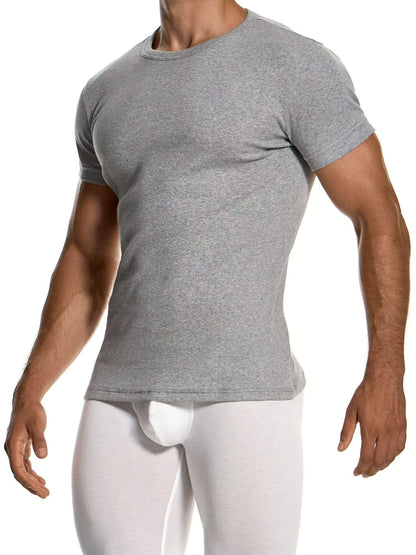 A man wearing a fitted heather gray short-sleeve crewneck t-shirt and white briefs, shown from the neck down against a plain white background.