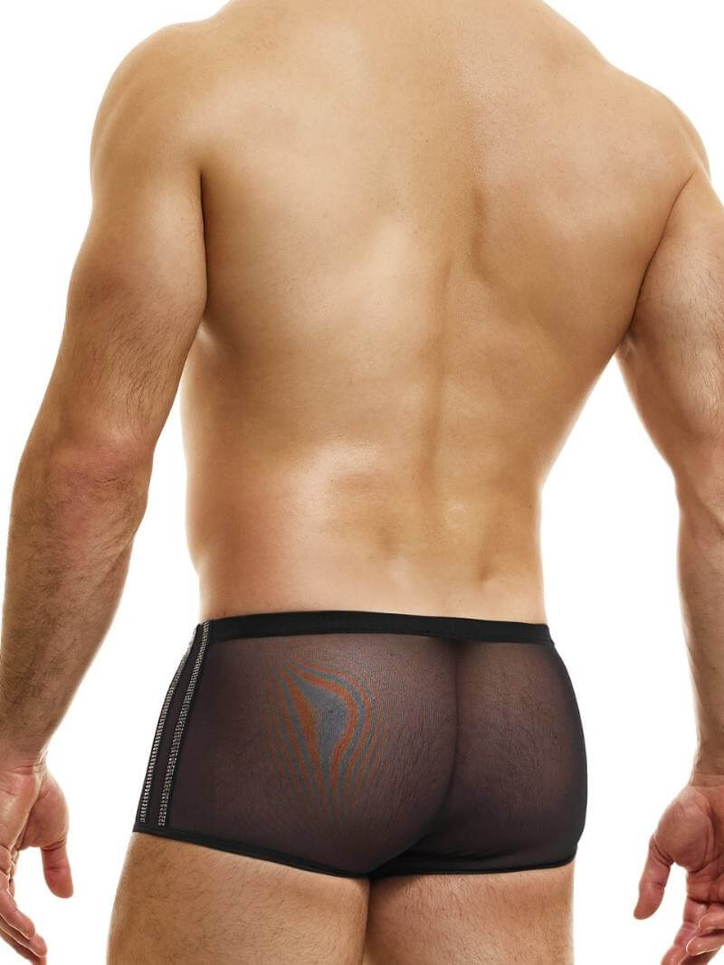 Modus Vivendi Sharp Boxer