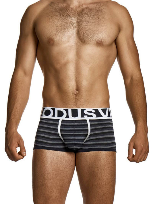 MODUS VIVENDI Striped Grey Boxer