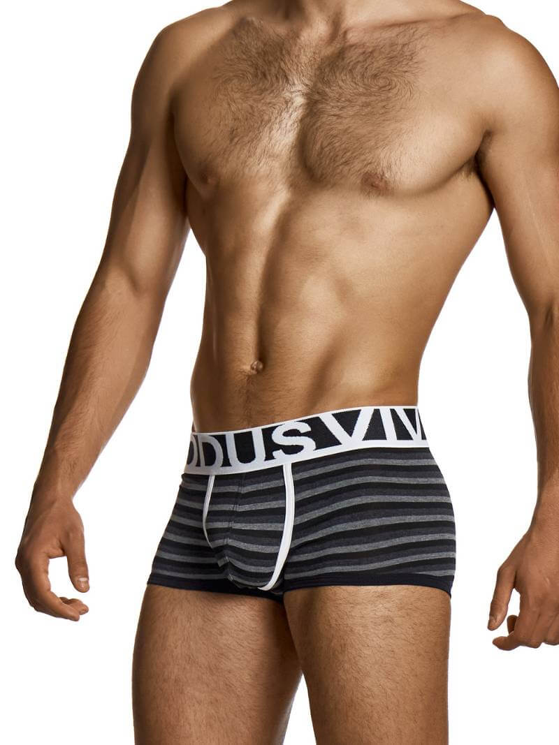 MODUS VIVENDI Striped Grey Boxer