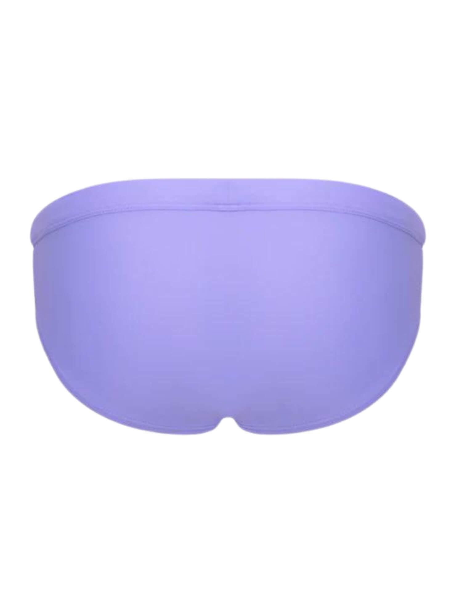 Purple swimwear on a white background