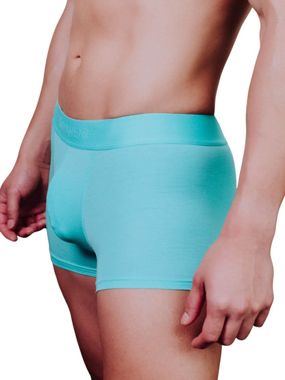 A close-up of a male model wearing light aqua blue boxer briefs against a plain white background.