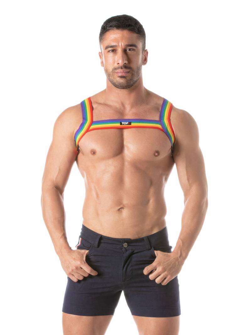 Mens TOF Paris Rainbow Chest Harness