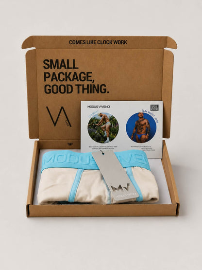 An open brown cardboard subscription box on a light grey background containing folded underwear in light blue and off-white, a branded card, and a hangtag. The box lid is printed with the text 'SMALL PACKAGE, GOOD THING.