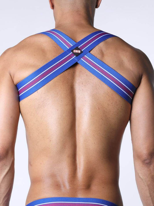 Person wearing a blue and purple striped chest harness on a white background
