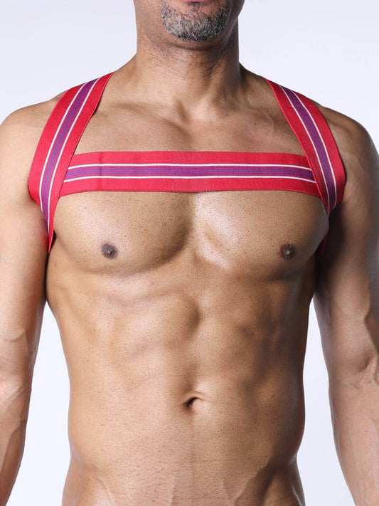 Man wearing a red and purple striped harness against a white background