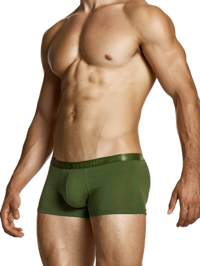 Man wearing green underwear with 'Vivendi' brand logo on a white background