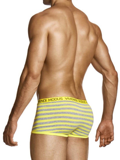 Man wearing striped underwear with 'Modus Vivendi' brand logo on a white background