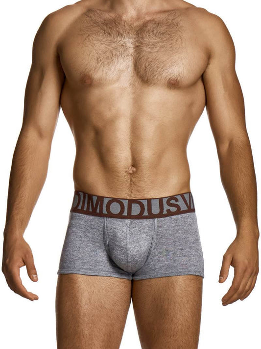 Man wearing gray underwear with a brand logo on a white background