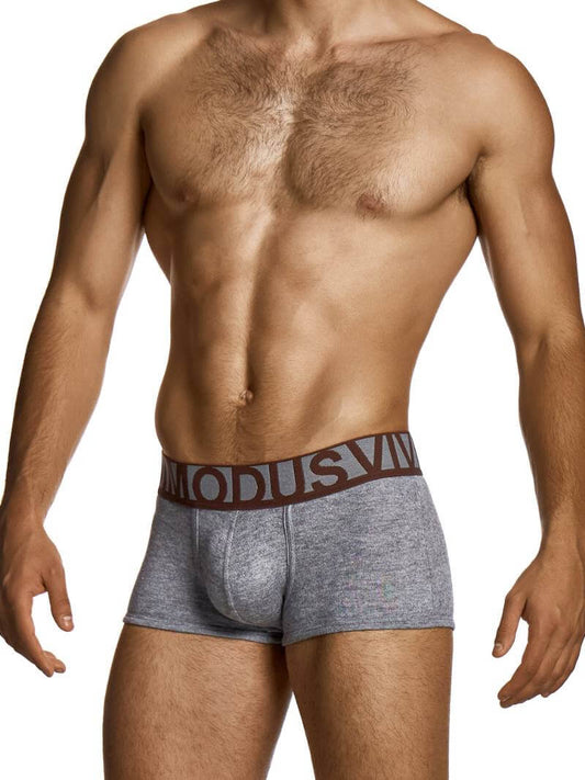 Man wearing gray boxer briefs with a brown logo on a white background