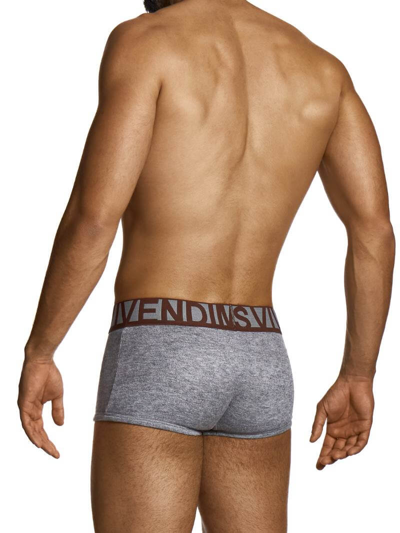 Man wearing gray boxer briefs with a brand logo on a white background